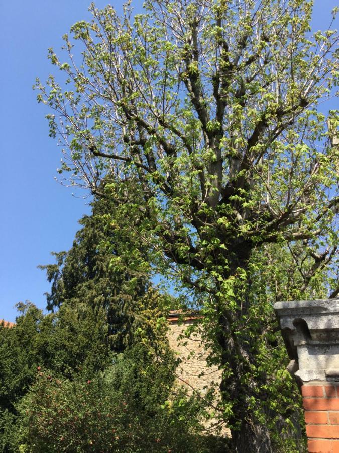 לינה וארוחת בוקר Saint-Didier-en-Velay Les Marronniers מראה חיצוני תמונה